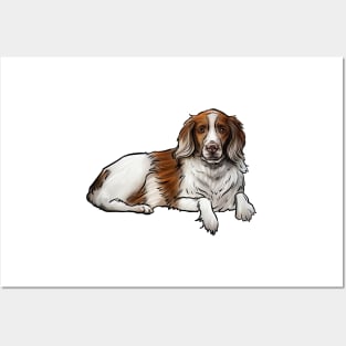 Brittany Spaniel Dog Posters and Art